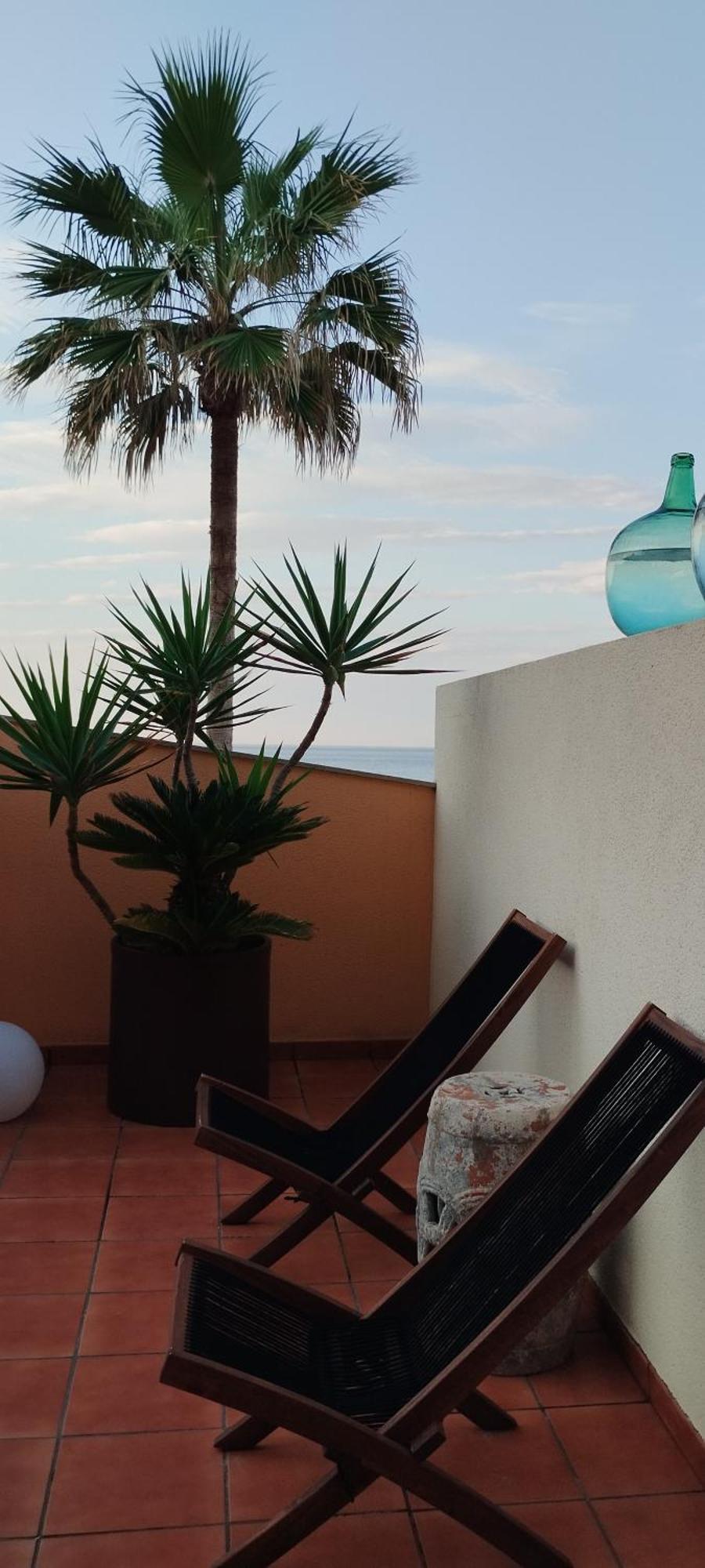 شقة Facing The Ocean Santa Maria de Guia de Gran Canaria المظهر الخارجي الصورة
